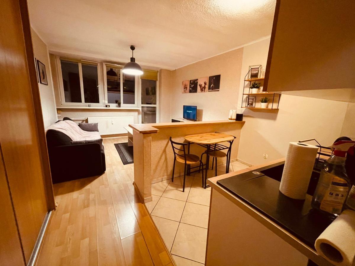 Apartamenty Ktw Park Slaski Luksusowy Prl Katovice Exteriér fotografie